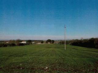 Terreno agricolo all'asta a viterbo strada vicinale sterparelle