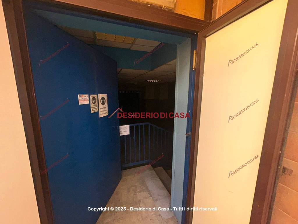 immagine annuncio 11 di 12