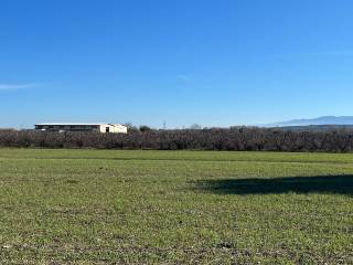 Terreno agricolo in vendita a spezzano albanese contrada fosso dello zingaro