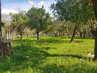 Terreno agricolo in vendita a nocera inferiore via ludovico ariosto