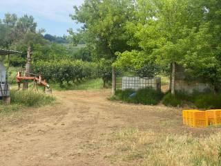 Terreno agricolo in vendita a imola 