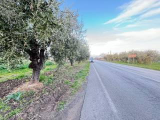 Terreno agricolo in vendita a ortona strada provinciale ex ss538 marrucina