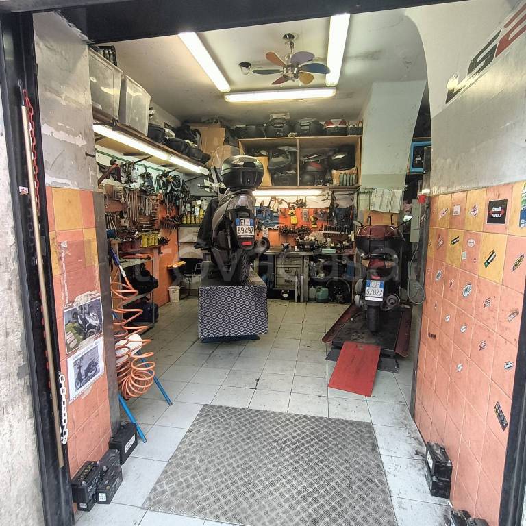 immagine annuncio 3 di 8