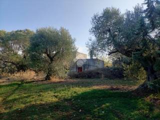 Terreno agricolo in vendita a mola di bari contrada san marco