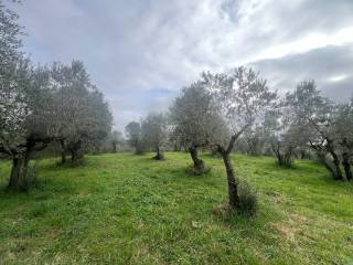 Terreno agricolo in vendita a san casciano in val di pesa via volterrana