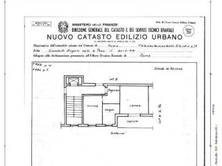 Appartamento in in affitto da privato a roma via tropea, 20