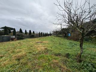 Terreno agricolo in vendita a marino via castagnole di sotto