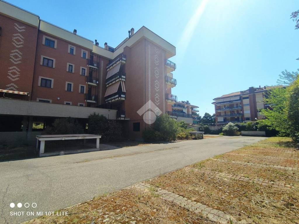 immagine annuncio 6 di 15