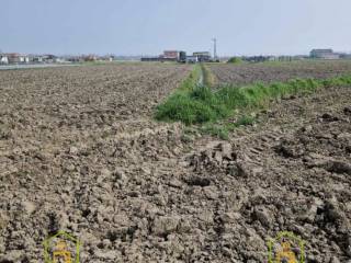 Terreno agricolo all'asta a chioggia strada margherita ,