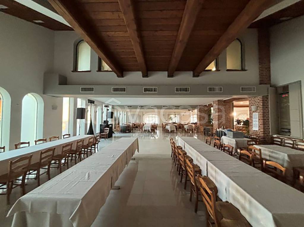 immagine annuncio 9 di 14