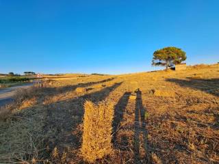 Terreno agricolo in vendita a paceco via libertà