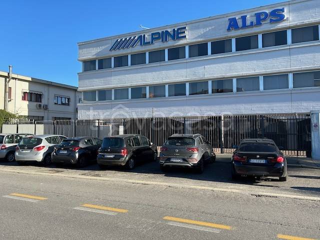 immagine annuncio 3 di 14
