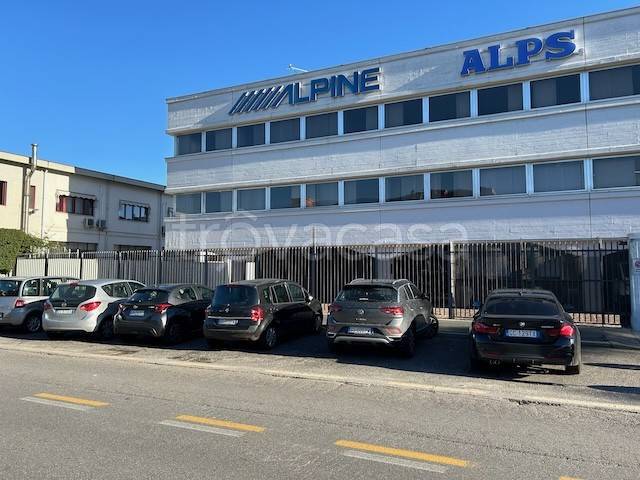 immagine annuncio 1 di 14