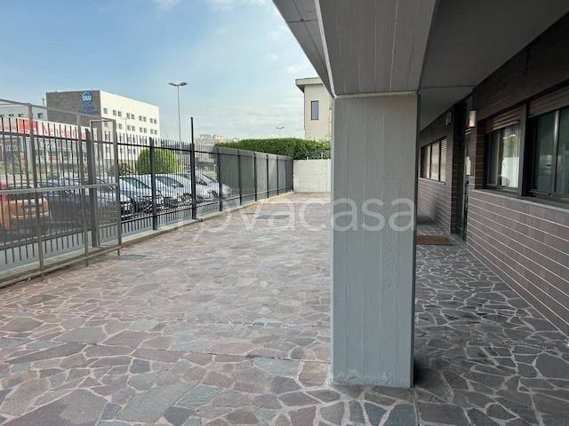 immagine annuncio 9 di 14