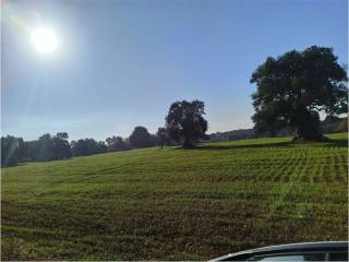 Terreno residenziale in vendita a carovigno 