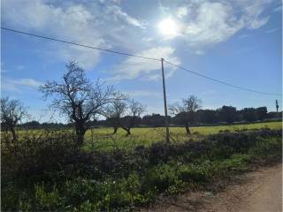 Terreno residenziale in vendita a carovigno 