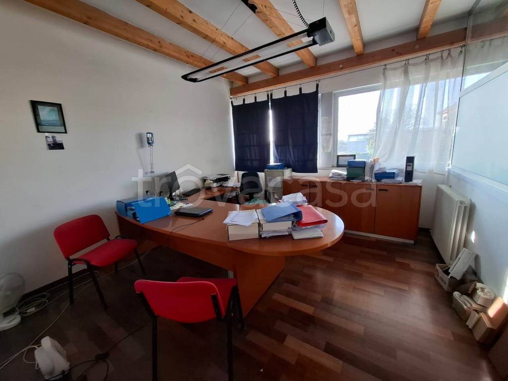 immagine annuncio 3 di 6