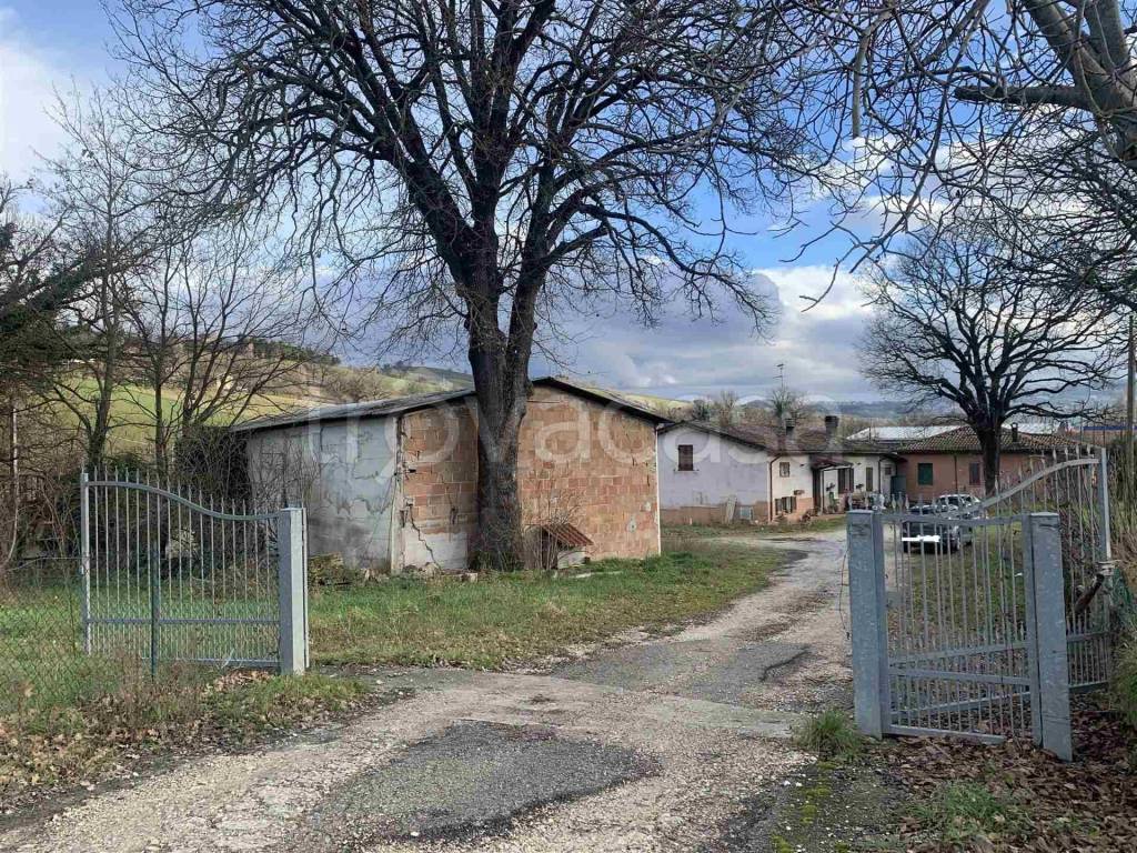 immagine annuncio 0 di 6