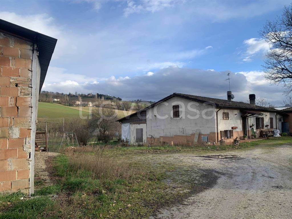 immagine annuncio 5 di 6