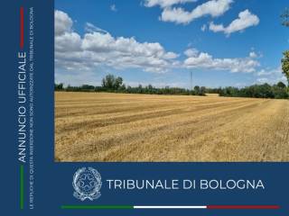 Terreno agricolo all'asta a imola via zolino snc