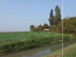 Terreno agricolo all'asta a legnago localita' punta, in fregio a via passiva