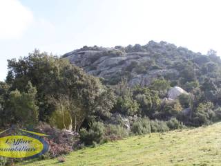 Terreno agricolo in vendita a loiri porto san paolo frazione ovilo' - loiri