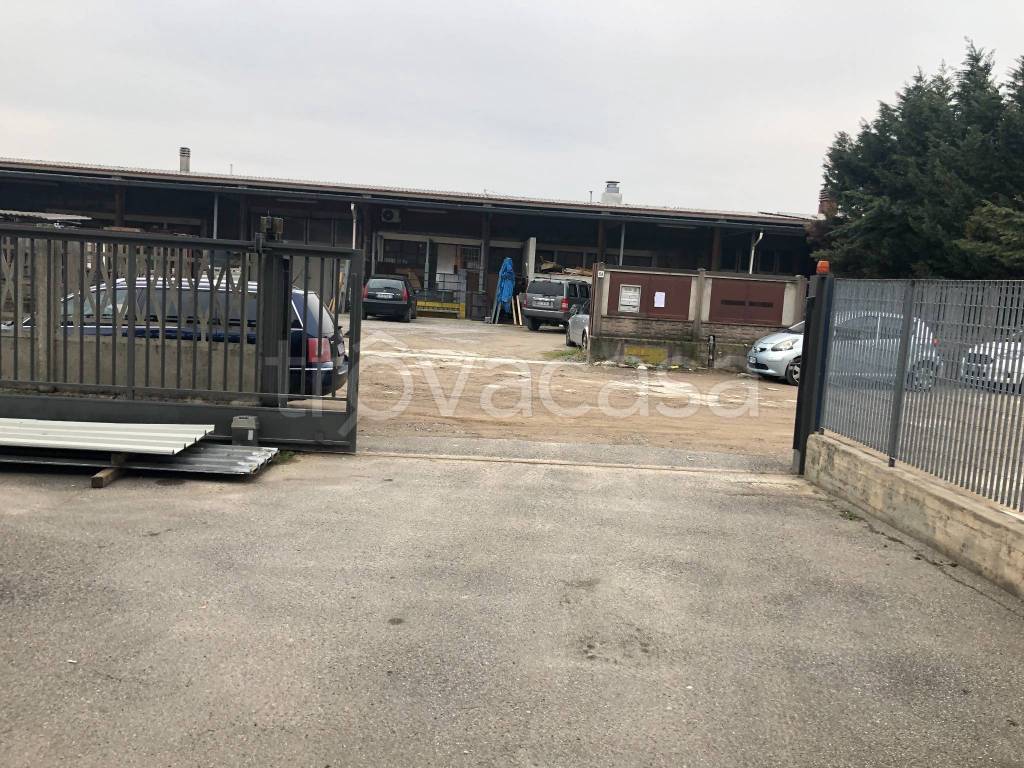 immagine annuncio 11 di 14