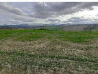 Terreno agricolo all'asta a falerone falerone