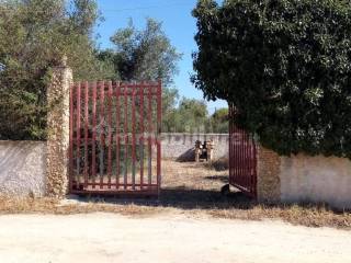 Terreno residenziale in vendita a castelvetrano strada statale, 115