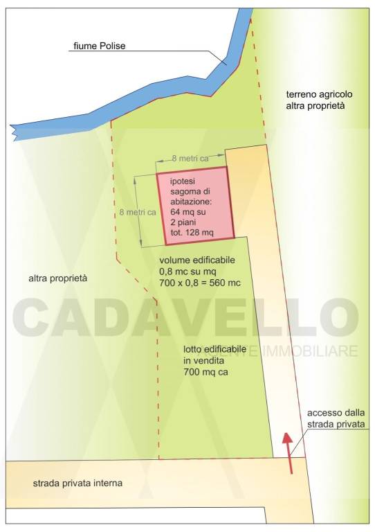 immagine annuncio 9 di 11