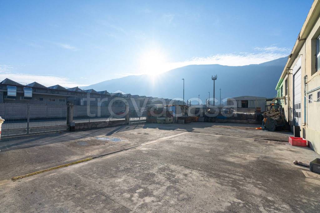 immagine annuncio 11 di 15