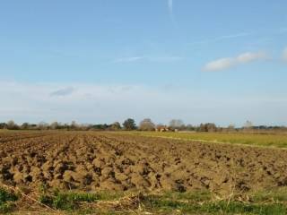 Terreno agricolo in vendita a brendola 