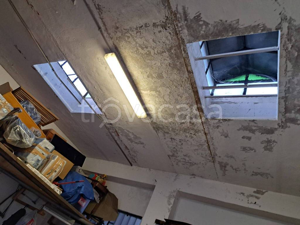 immagine annuncio 2 di 9