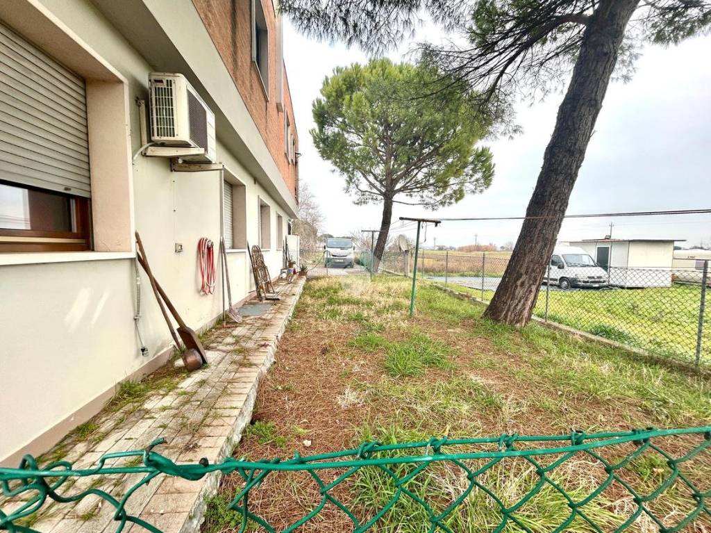 immagine annuncio 6 di 13