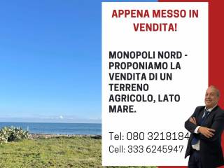 Terreno agricolo in vendita a monopoli contrada torre d'orta