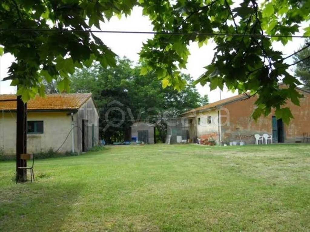 immagine annuncio 3 di 8