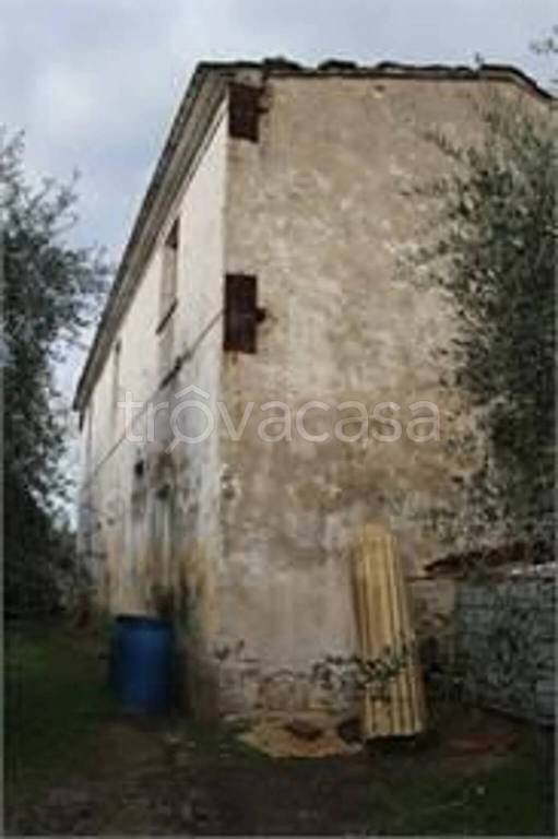 immagine annuncio 3 di 7