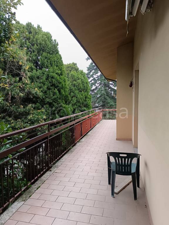 immagine annuncio 2 di 9