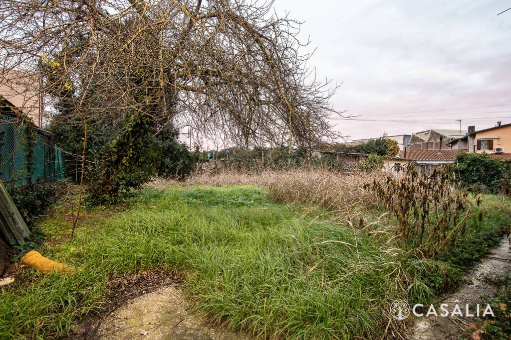 immagine annuncio 5 di 12