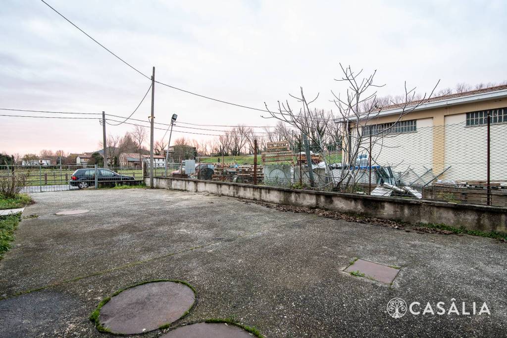 immagine annuncio 6 di 12