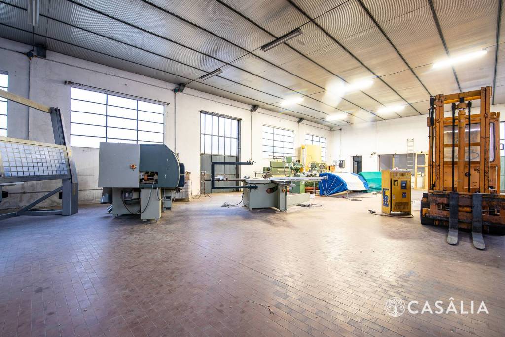 immagine annuncio 11 di 12