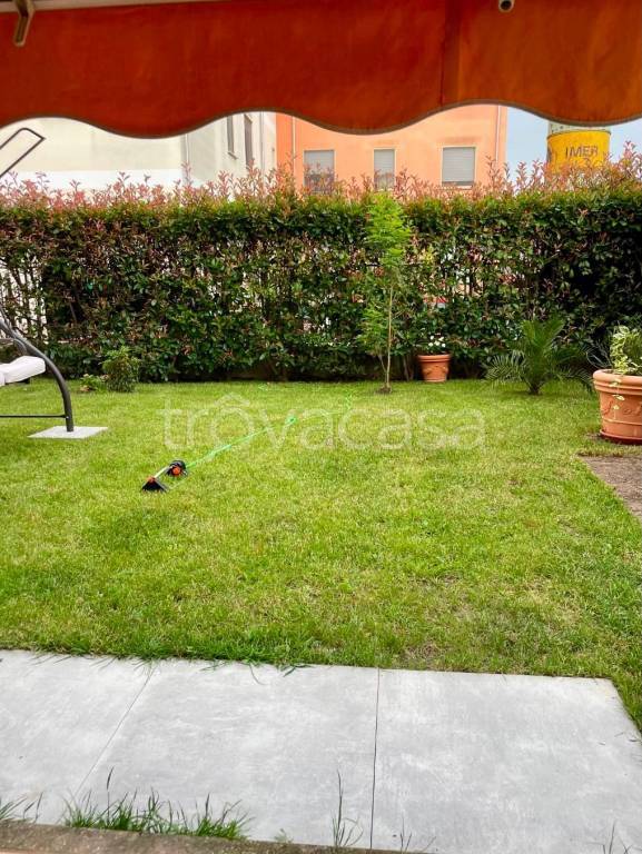 immagine annuncio 11 di 14