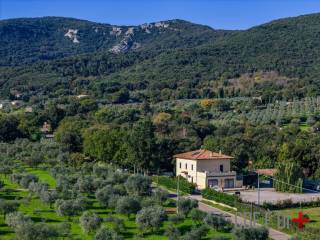 Casale in vendita a gavorrano strada provinciale gavorranese