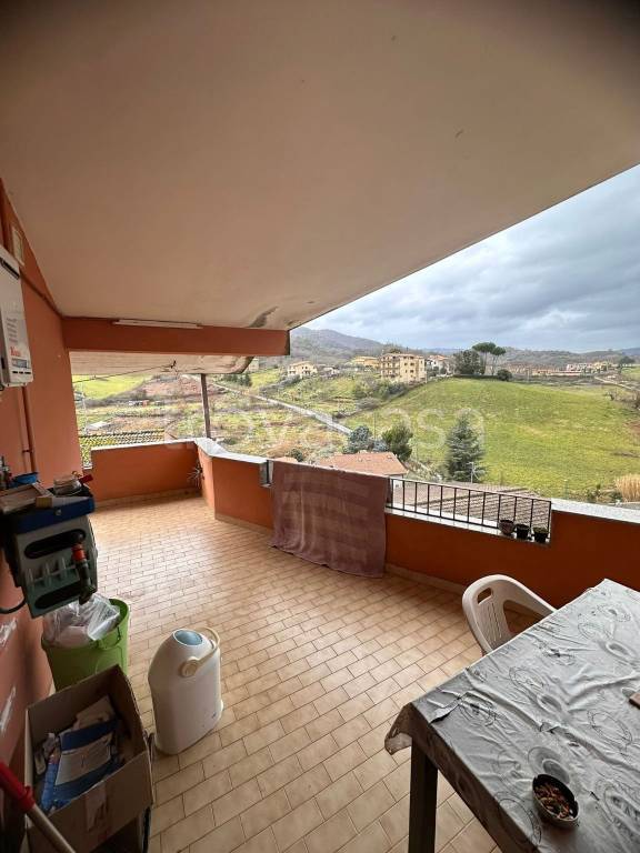 immagine annuncio 9 di 14