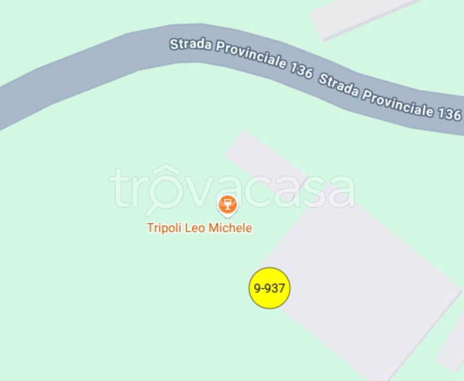 immagine annuncio 4 di 12
