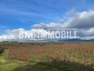 Terreno agricolo in vendita a roccastrada località muccaia