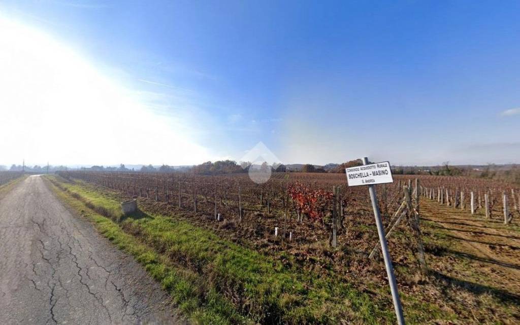 immagine annuncio 2 di 4