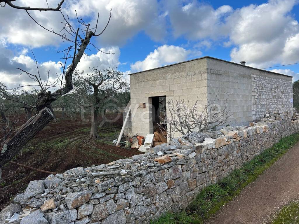 immagine annuncio 1 di 14