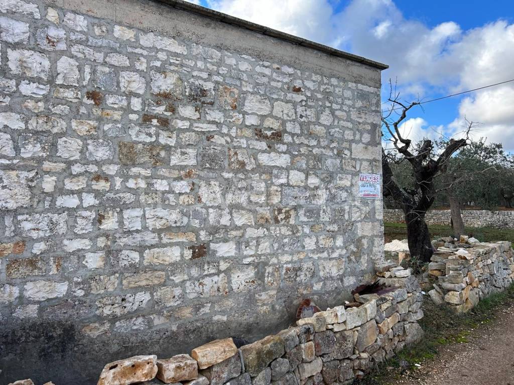 immagine annuncio 3 di 14