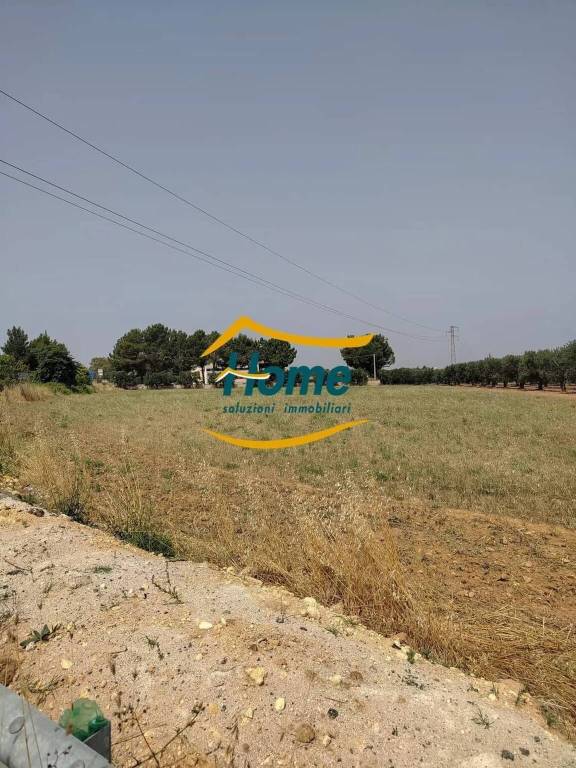 immagine annuncio 4 di 9